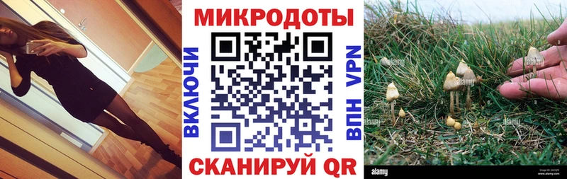 купить  цена  Сосновка  Псилоцибиновые грибы GOLDEN TEACHER 