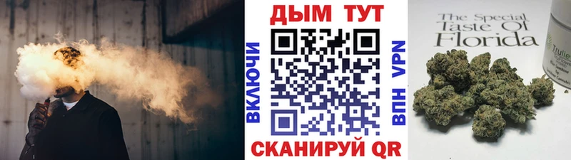 Каннабис индика  Сосновка 